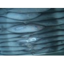 Jual Ikan Deho | Sell Frozen Deho Fish Size 40-50